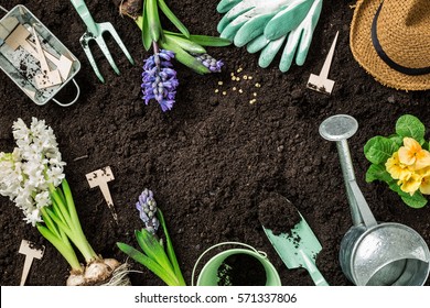 Gardening Tools, Hyacinth Flowers, Watering Can And Straw Hat On Soil Background. Spring Garden Works Concept. Layout With Free Text Space Captured From Above (top View, Flat Lay).