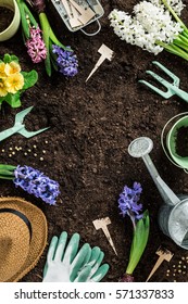 Gardening Tools, Hyacinth Flowers, Watering Can And Straw Hat On Soil Background. Spring Garden Works Concept. Layout With Free Text Space Captured From Above (top View, Flat Lay).