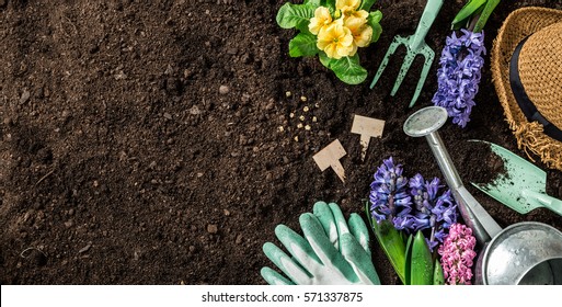 Gardening Tools, Hyacinth Flowers, Watering Can And Straw Hat On Soil Background. Spring Garden Works Concept. Horizontal Layout With Free Text Space Captured From Above (top View, Flat Lay).