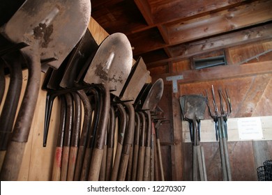 Gardening Tools Inside Garden Shed