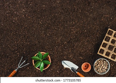 Gardening Tools On Fertile Soil Texture Background Seen From Above, Top View. Gardening Or Planting Concept. Working In The Spring Garden. Flat Lay Mockup With Border Composition