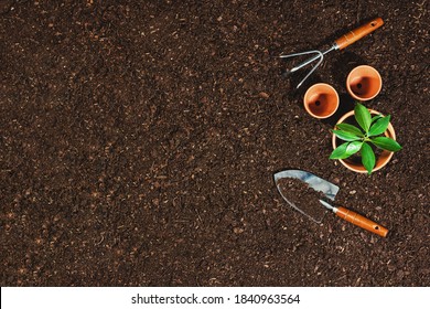 Download Fertilizer Mockup High Res Stock Images Shutterstock
