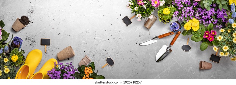 Gardening Tools On Shale Background. Spring Garden Works Concept