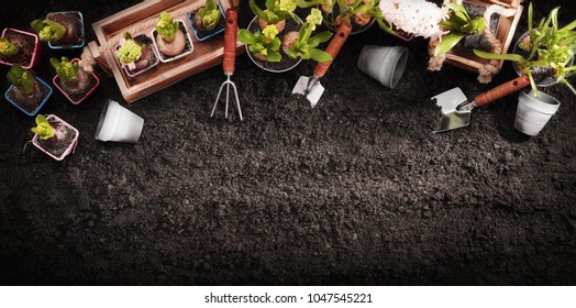 Gardening Tools and Plants on Soil Background. Spring Garden Works Concept