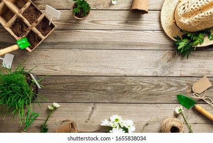 Gardening Tools And Plants On Wooden Table. Spring Garden Works Concept. Flat Lay, Top View