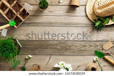 Gardening tools and plants on wooden table. Spring garden works concept. Flat lay, top view