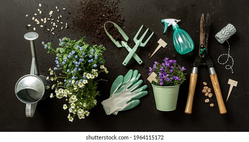 Gardening tools  pot