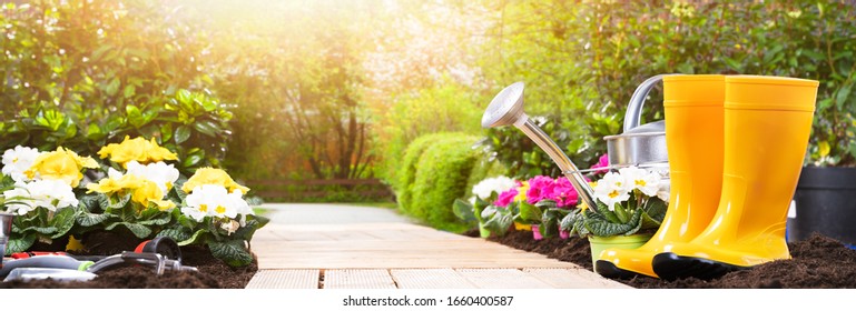 Gardening Tools Set And Flowers In Sunny Garden - Shutterstock ID 1660400587