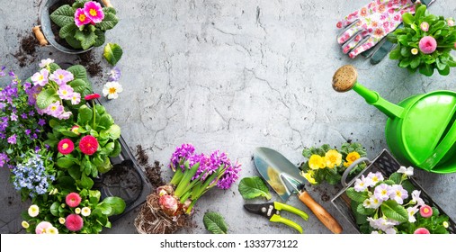 Gardening Tools Spring Flowers On 260nw 1333773122 