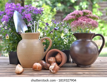 gardening tools in a water jug placed with others on a table with flowers and bulbs in a garden 