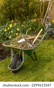 Gardening wheelbarrow, full of weeds. Trowel and fork to help clean boarders.