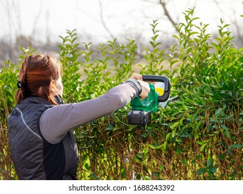 Gardening Woman With Hedge Trimmer In Summer