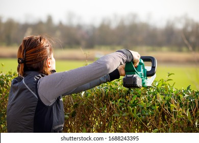 Gardening Woman With Hedge Trimmer In Summer