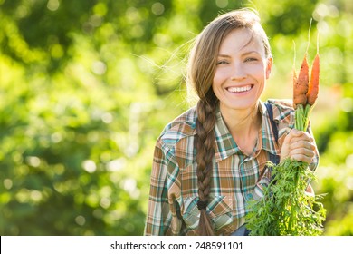 Gardening - Woman with organic carrots in a vegetable garden. backlight, copy space - Powered by Shutterstock