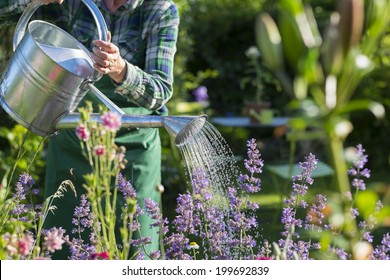 Gardening woman watering the flowers in garden - Powered by Shutterstock