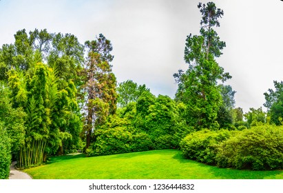 Gardens Of Borromeo Palace On Isola Madre, Italy
