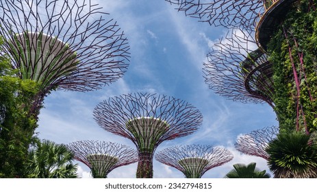 Gardens by the Bay - Supertree Grove, 2023, Singapore