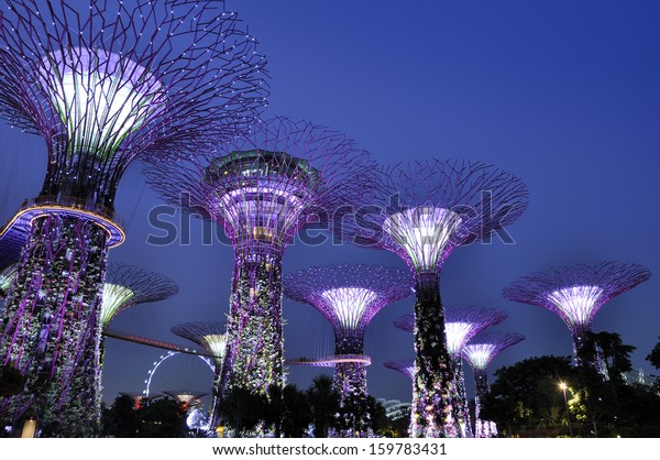 Gardens By Bay Supertree Grove Singapore Stock Photo Edit Now