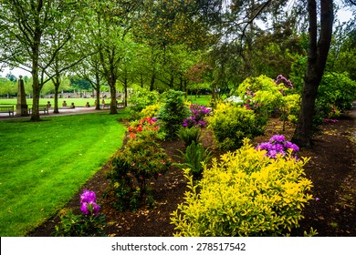 Gardens At Downtown Park, In Bellevue, Washington.