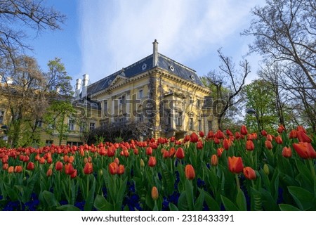 Gardens of the royal palace in the city of Sofia, with some red tulips in the foreground, on a day with blue sky.