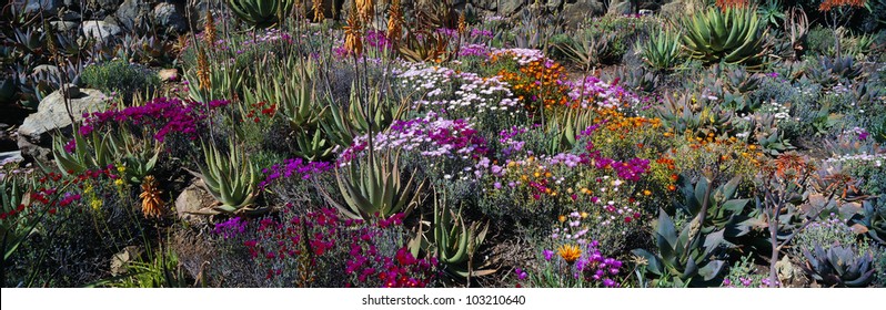 Gardens in Spring, Ojai Center for Earth Concerns, Ojai, California
