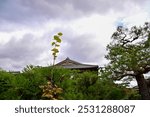 The gardern view of Nonomiya Shrine, Kyoto, Japan at autumn. A Shinto shrine in the Arashiyama district, close to its bamboo forest. Nature and travel concept. 