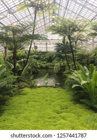 Garfield Park Conservatory, Chicago