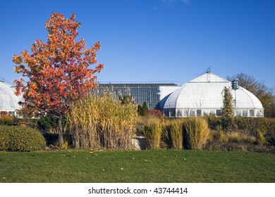 Garfield Park Conservatory In Chicago.