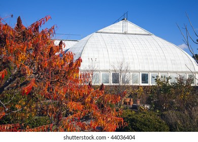 Garfield Park Conservatory In Chicago