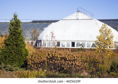 Garfield Park Conservatory In Chicago.