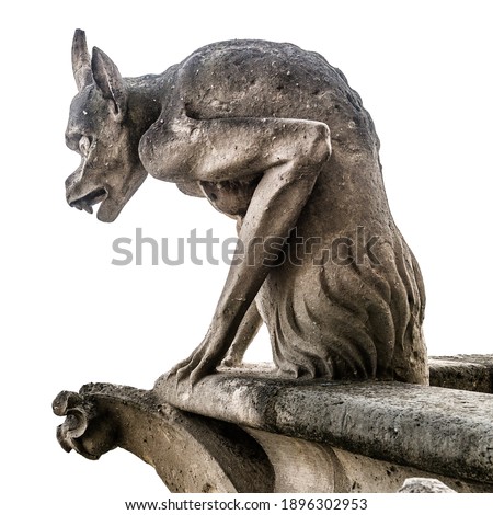 Gargoyle or chimera of Notre Dame de Paris isolated on white background, France. Gargoyles of this cathedral are Gothic landmark in Paris. Famous old demon statue close-up.