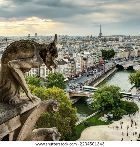 Gargoyle on Notre Dame de Paris looks at city, France. View of Gothic gargoyle (chimera) statue at sunset. Photo of medieval demon sculpture over Paris. Theme of travel in Paris, tourism, monument.