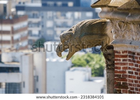 Gargoyles at the cathedral in Buenos Aires