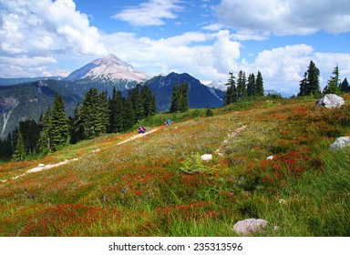 Garibaldi Provincial Park In British Columbia, Canada