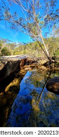 Garigal National Park Bush Trail, Five Mile Creek Bush Trail