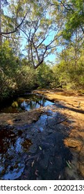 Garigal National Park Bush Trail, Five Mile Creek Bush Trail