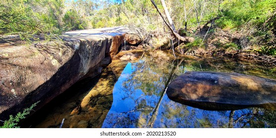 Garigal National Park Bush Trail, Five Mile Creek Bush Trail