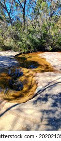 Garigal National Park Bush Trail, Five Mile Creek Bush Trail