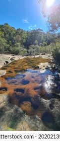 Garigal National Park Bush Trail, Five Mile Creek Bush Trail