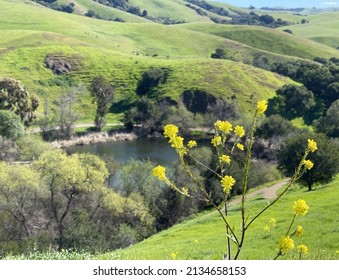 Garin Regional Park In Hayward, California