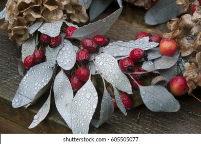 Garland With Eucalyptus And Rose Hips
