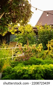 A Garland With Light Bulbs In The Country House's Garden. Landscape Design Of The Yard. Care Of Garden Plants.