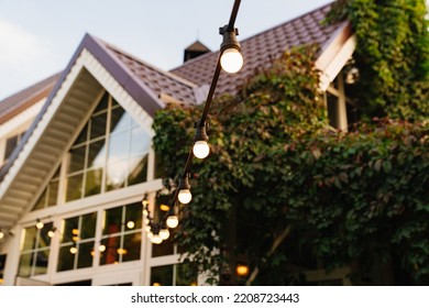 A Garland With Light Bulbs In The Country House's Garden. Landscape Design Of The Yard. Care Of Garden Plants.