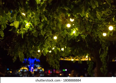 Garland Of Light Bulbs Glowing With Warm Light Suspended From Tree Branches In Backyard Garden With Festive Decor, Closeup Night Party Details, Nobody