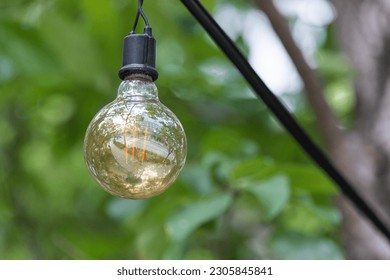 Garland light bulbs hanging from the trees on the promenade. incandescent light bulb