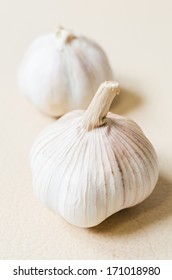 Garlic