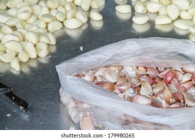 Garlic