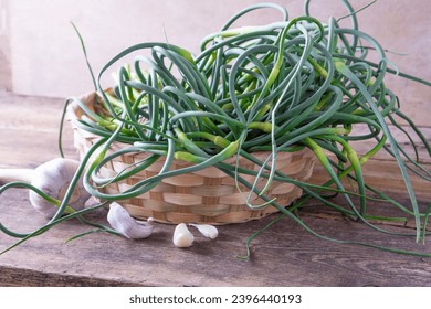 Garlic arrows. A bunch of greens on the table. Vegetable healthy vitamin food. Green stem stalks seedlings for salad and stewing. Vegetarian fresh herbs, chinese cuisine. - Shutterstock ID 2396440193