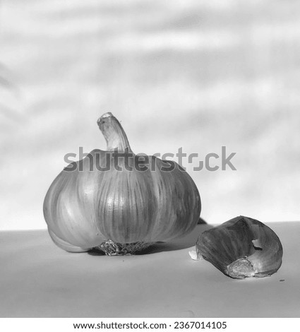 garlic, art, detail, blackandwhite, vegetable