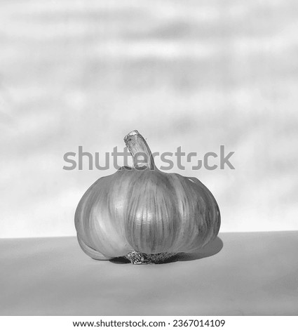 garlic, art, detail, blackandwhite, vegetable